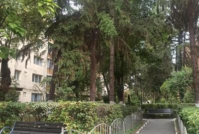 Apartament cu 2 camere semidecomandat în Nord - 5