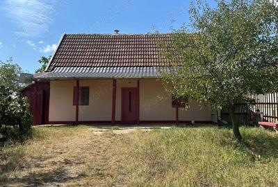 Casa de vanzare in Gepiu.