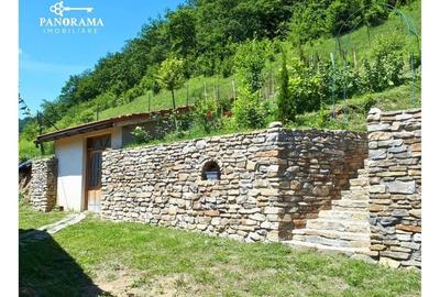 Refugiu elegant la marginea Sighisoarei - 28