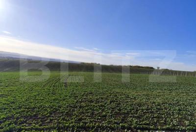 Teren de 20300 mp, în Miroslava