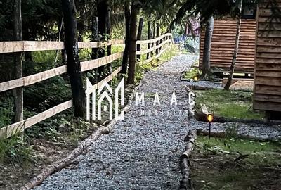 Complex turistic 7000 mp I 5 cabane individuale I Cârțișoara - 2