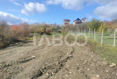 Teren intravilan de vanzare 1000 mp puz aprobat in Daia Noua - 3