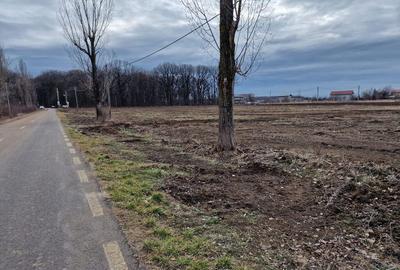 Ciolpani adiacent DN1 teren 12800 mp parcelabil toate uti... - 3