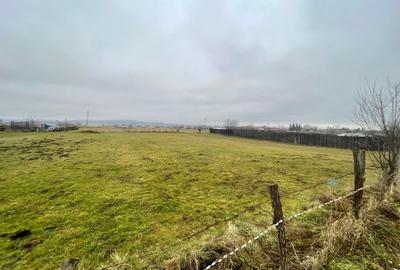 Teren 950mp Rasnov, zona de case ! - 2