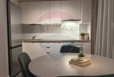 Apartament cu 2 camere semidecomandat, mobilat în Dămăroaia - 4