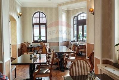Proprietate specială, de 900 mp, în Central - 11