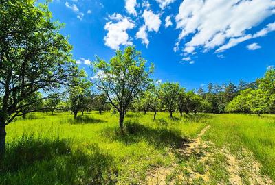 Teren intravilan Cotmeana Arges - 14