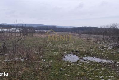Teren de 7500 mp, în Scorțeni - 1