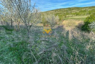 Teren agricol intravilan de 5500 mp, în Sopor - 6