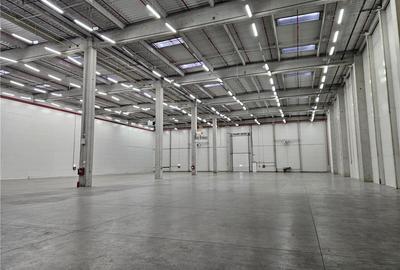 Spațiu industrial, de 3,200 mp, în Est - 15