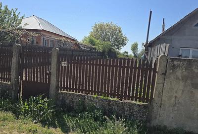 Teren de 2600 mp, în Ghindeni - 1
