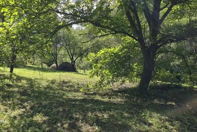 Casă cu 2 camere în Breaza - 5