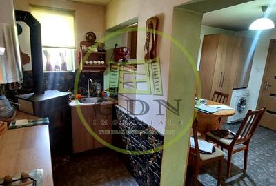 Casa 4 camere suprafata utila 126mp, teren 1600mp, spre vanzare in Seica Mare - 13