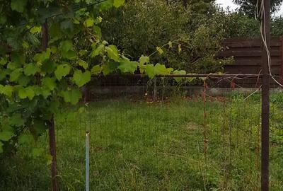 Corp de casa Tatarasi-Aviatiei Corp de casa Tatarasi-Aviatiei - 8