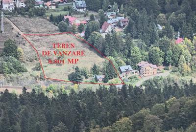 VANZARE TEREN INTRAVILAN SINAIA-CUMPATU Strada Zamora-9.801 mp-Comision 0% - 15