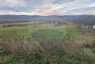 Teren intravilan si extravilan 8,282mp oras Negresti, judetul Vaslui - 1