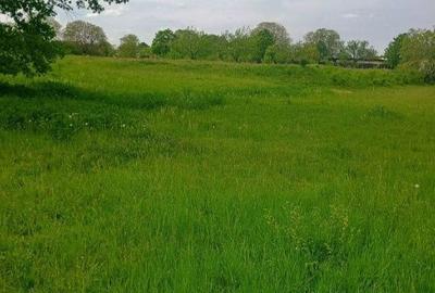 Spațiu comercial, în Cărpiniș