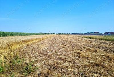 Vanzare Teren Rezidential 5000MP Magurele - 1