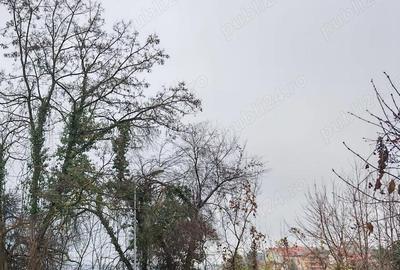 Teren de 400 mp, în Central