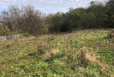 Teren Construcții intravilan de 1954 mp, în Seaca (Călimănești) - 3