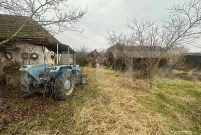 Casă cu 4 camere cu Teren 6197 Mp în Viile Satu Mare - 19