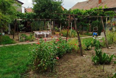 Casă cu 4 camere în Grădiște - 3