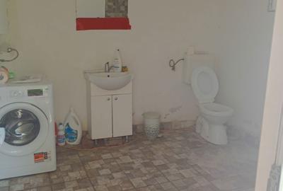Casă cu 2 camere în Alexandriei - 2