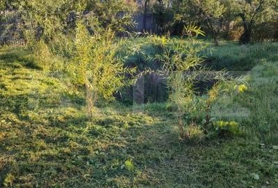 Casa de vanzare 151mp 918mp teren Razvad - 20