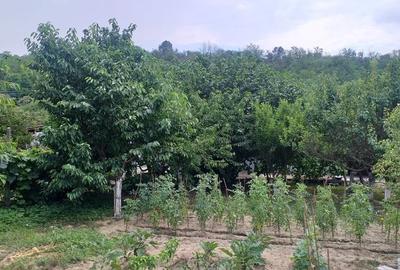 Casă cu 3 camere cu Teren 1700 Mp în Izvoarele - 10