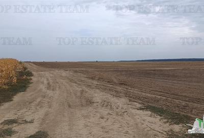 Oferim spre vanzare 6 loturi de teren extravilan (agricol) in Petrachioaia ILFOV - 8