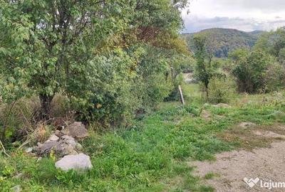 Teren de 3082 mp, în Damiș - 2