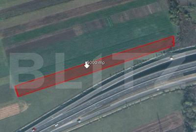 Teren de 5000 mp, Stupini - 1