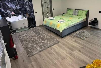 Casă cu 5 camere cu Teren 700 Mp în Tăuții-Măgherăuș - 8
