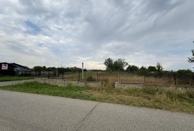 Teren 6800 mp - comuna Calnic - sat Calnic - 5