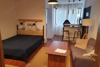 Garsonieră semidecomandată în Dristor - 1
