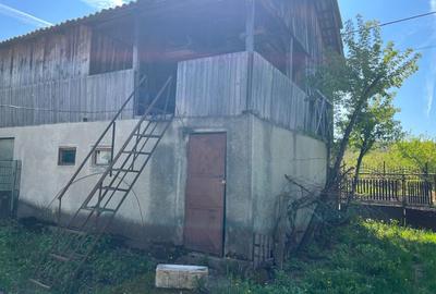 Casă cu 2 camere în Dobroteasa - 5