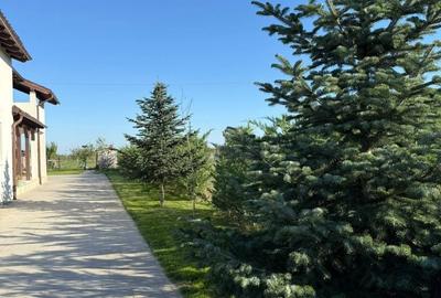 Casă cu 3 camere cu Teren 2500 Mp în Rușeni - 7