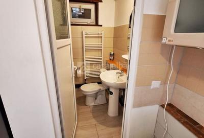 Bucium, apartament 1 camera cu terasa si garaj, la casa - 8