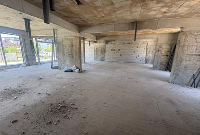 Spațiu comercial, de 172 mp, în Theodor Pallady - 1