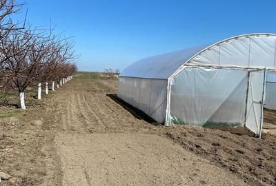 Casă cu 2 camere în Gostavățu - 3