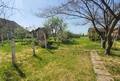 Casă cu 4 camere în Sânpetru Mare - 2