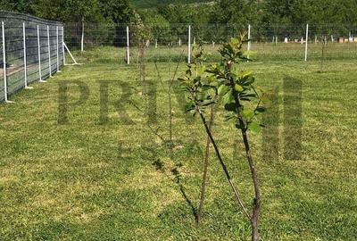 Spațiu comercial, în Botinești - 3