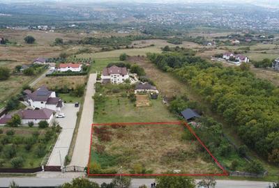Teren de 28500 mp, în Păun - 2