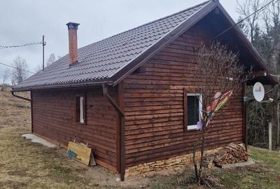 Teren de 10000 mp, în Râșca - 6