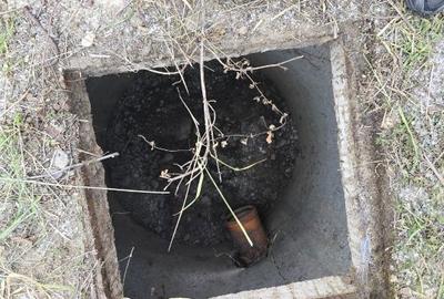 Teren de 1243 mp, în Lancrăm - 2