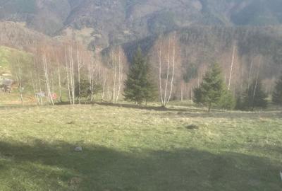 Spațiu comercial, în Cerc - 1