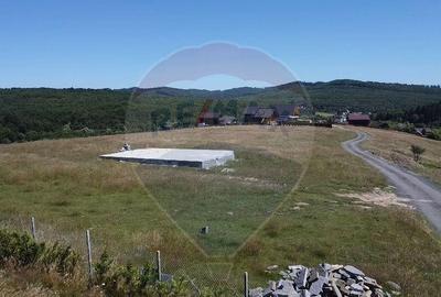 Teren 3,757mp Paltinoasa / Strada principala - 13