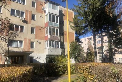 Garsoniera luminoasa la prima inchiriere,  LIDL Astra - 10