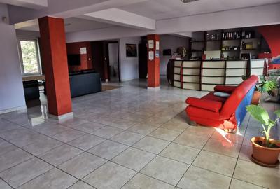 Elisabetin - Sp. Comercial - 252mp utili - teren 382mp - 4