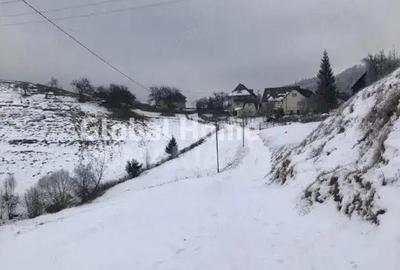 Teren 725 MP | Moieciu de Jos | Piatra Craiului | Oportunitate de investitie | - 3